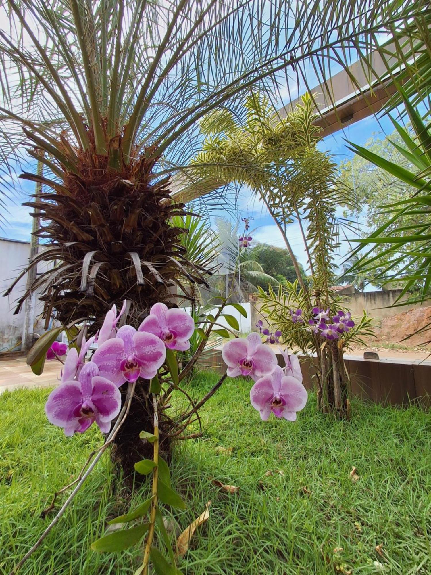 Casa Com Piscina Na Praia De Peroba Maragogi Exterior photo